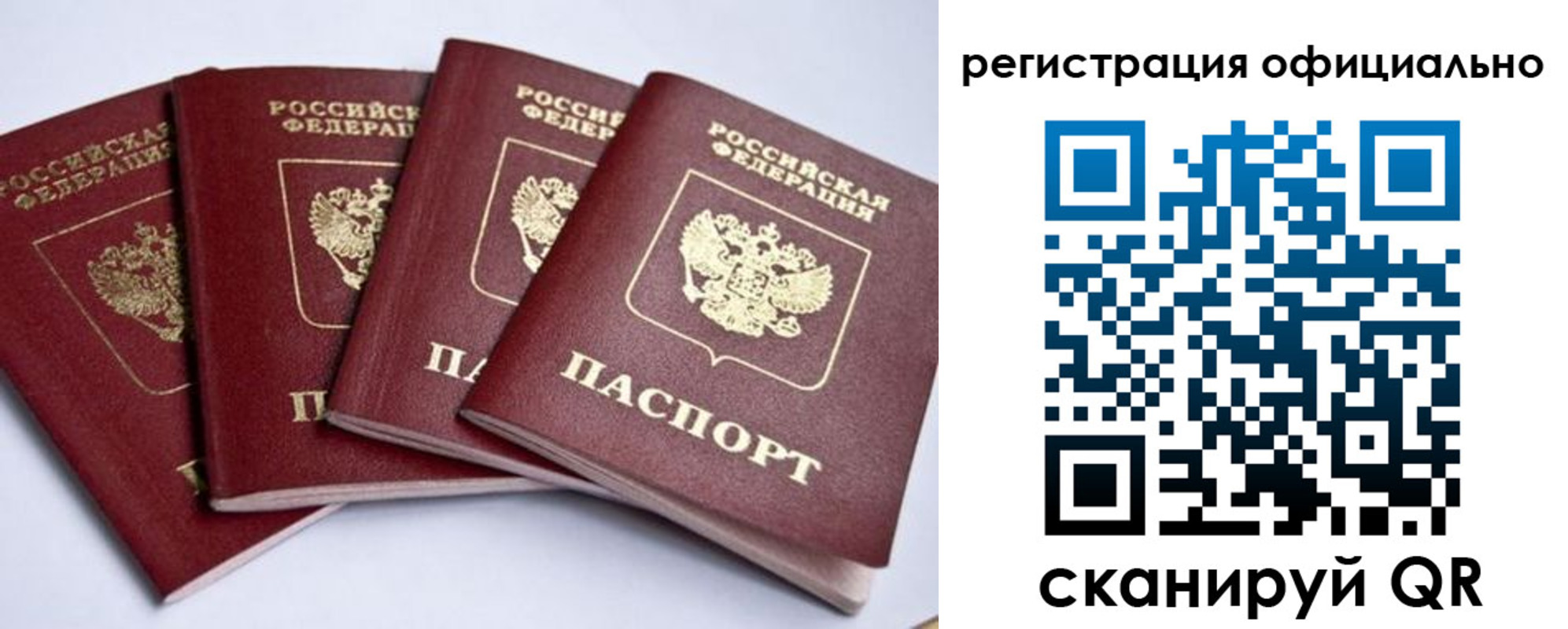 пропишу в квартире в Людиново
